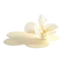 Carica l'immagine nel visualizzatore di Gallery, Kit 30 fogli carta seta fustellati a fiore