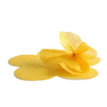 Carica l'immagine nel visualizzatore di Gallery, Kit 30 fogli carta seta fustellati a fiore
