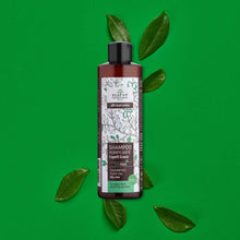 Carica l&#39;immagine nel visualizzatore di Gallery, Shampoo - Tè verde e erba mate - capelli grassi - bio | 200 ml
