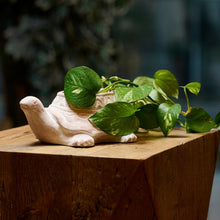 Carica l'immagine nel visualizzatore di Gallery, Vasetto Tartaruga
